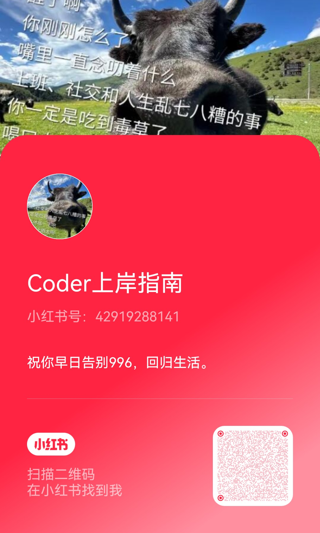小红书-Coder上岸指南